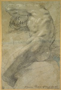 Estudio de un hombre desnudo